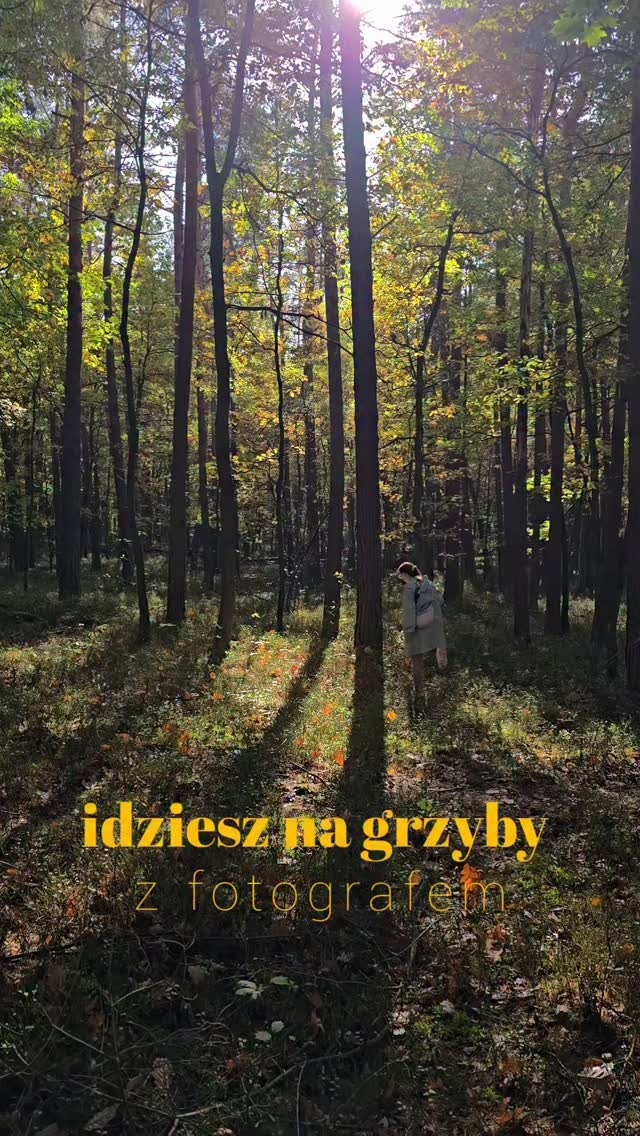 POV: idziesz z fotografem na grzyby 🤪
Może i nic nie znajdziesz, ale za to zmarzniesz 🤷🏻‍♀️😂

#grzyby #las #jesień #zżyciafotografa #photographerslife #naturephotography #naturephoto #ttartisan #bokeh
